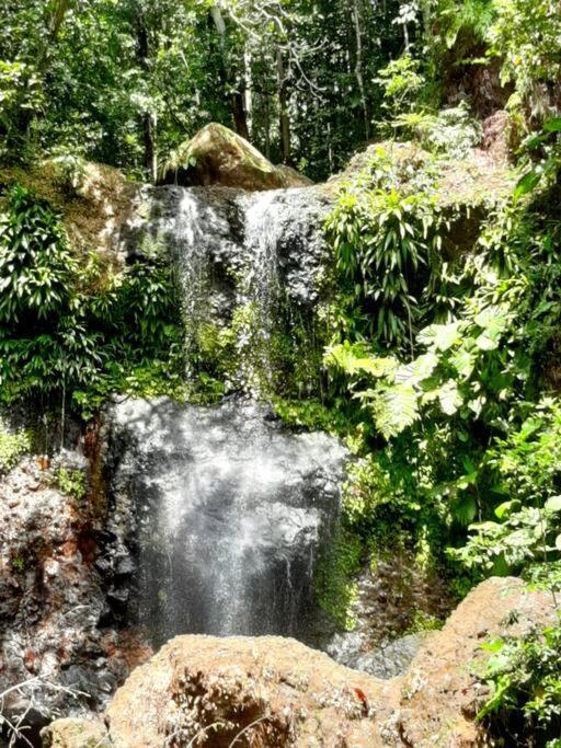 דסהייס Caraibes Cottage Grenat Piscine Privee 900M De Grande Anse מראה חיצוני תמונה