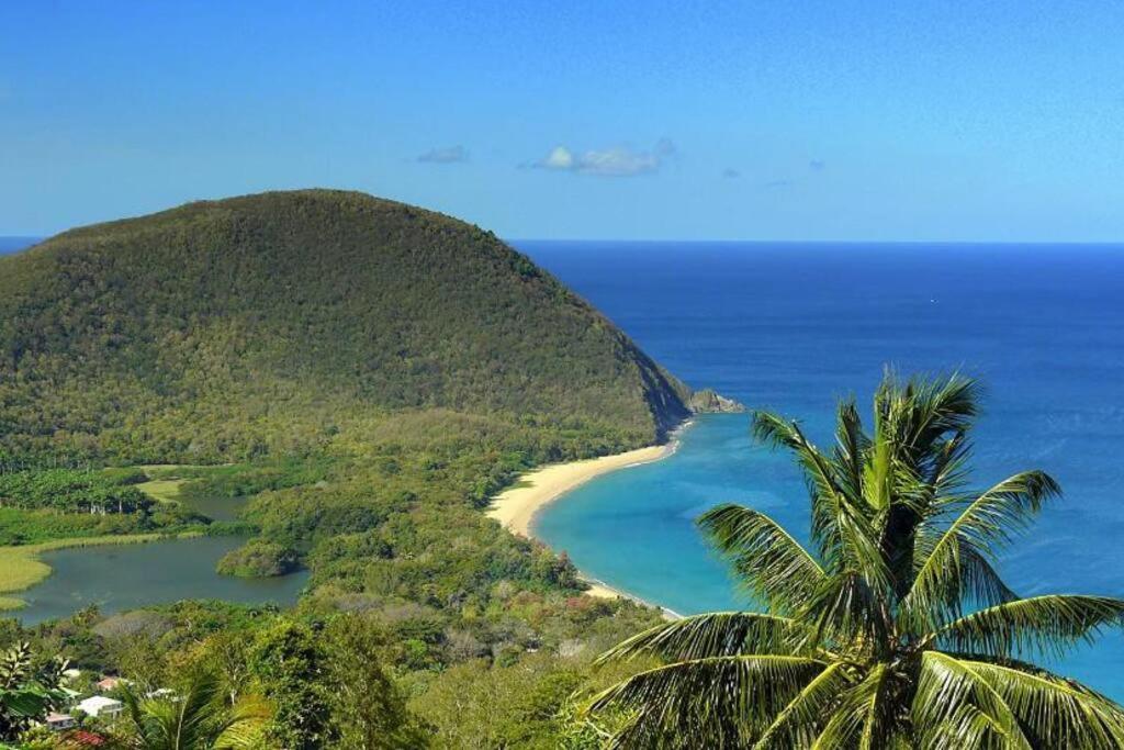 דסהייס Caraibes Cottage Grenat Piscine Privee 900M De Grande Anse מראה חיצוני תמונה