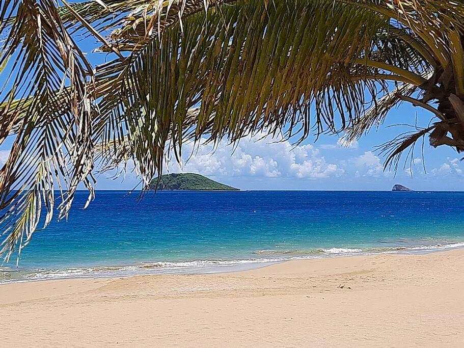 דסהייס Caraibes Cottage Grenat Piscine Privee 900M De Grande Anse מראה חיצוני תמונה