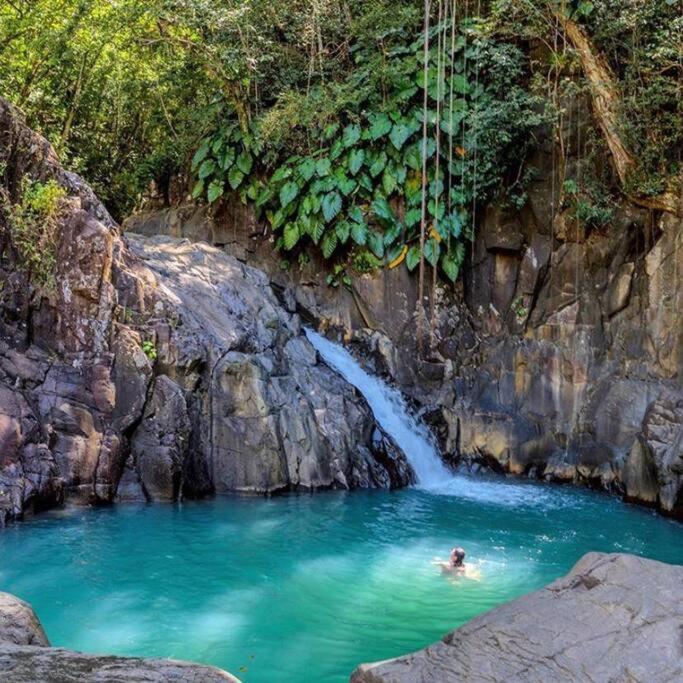 דסהייס Caraibes Cottage Grenat Piscine Privee 900M De Grande Anse מראה חיצוני תמונה