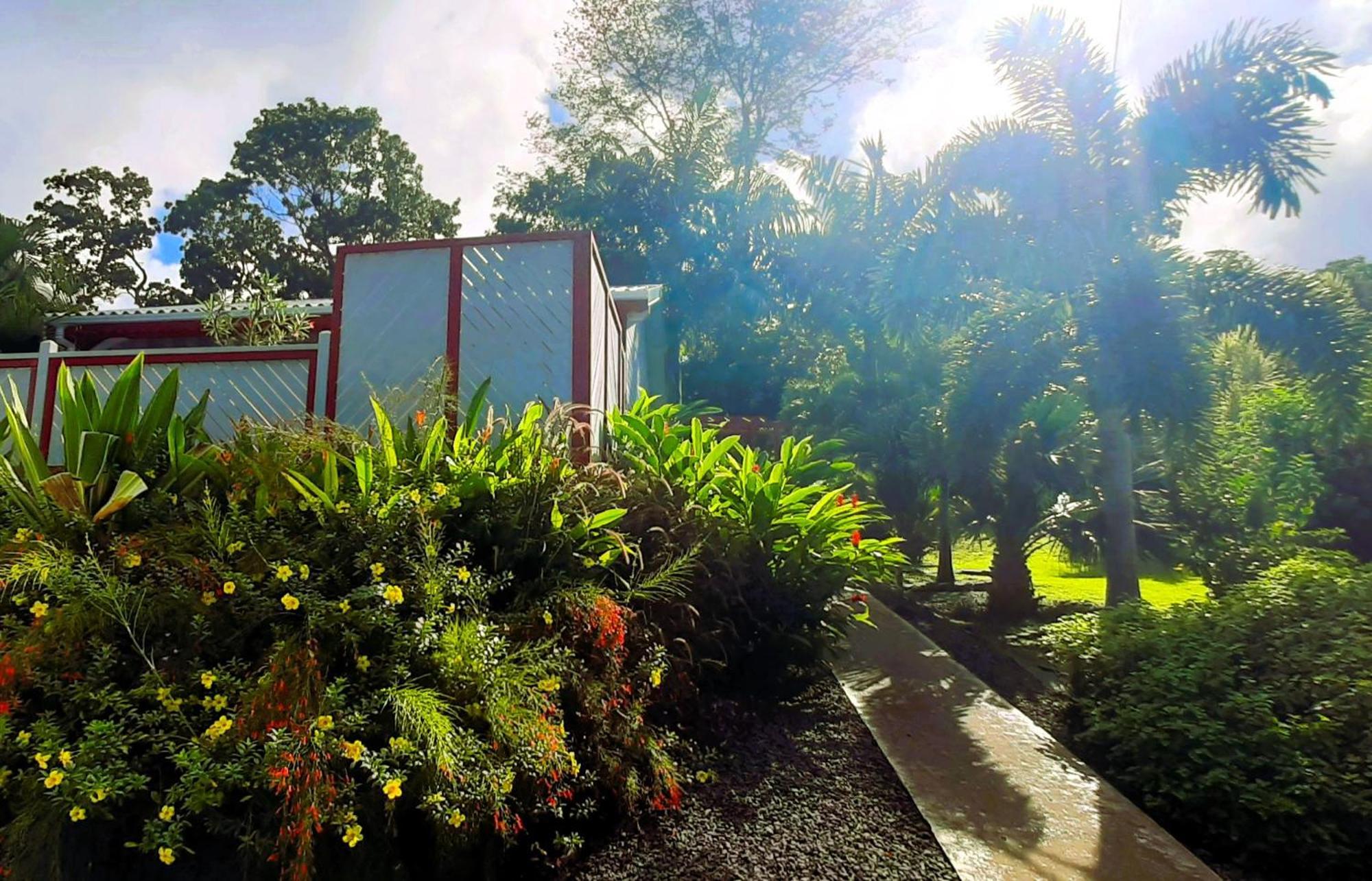 דסהייס Caraibes Cottage Grenat Piscine Privee 900M De Grande Anse מראה חיצוני תמונה