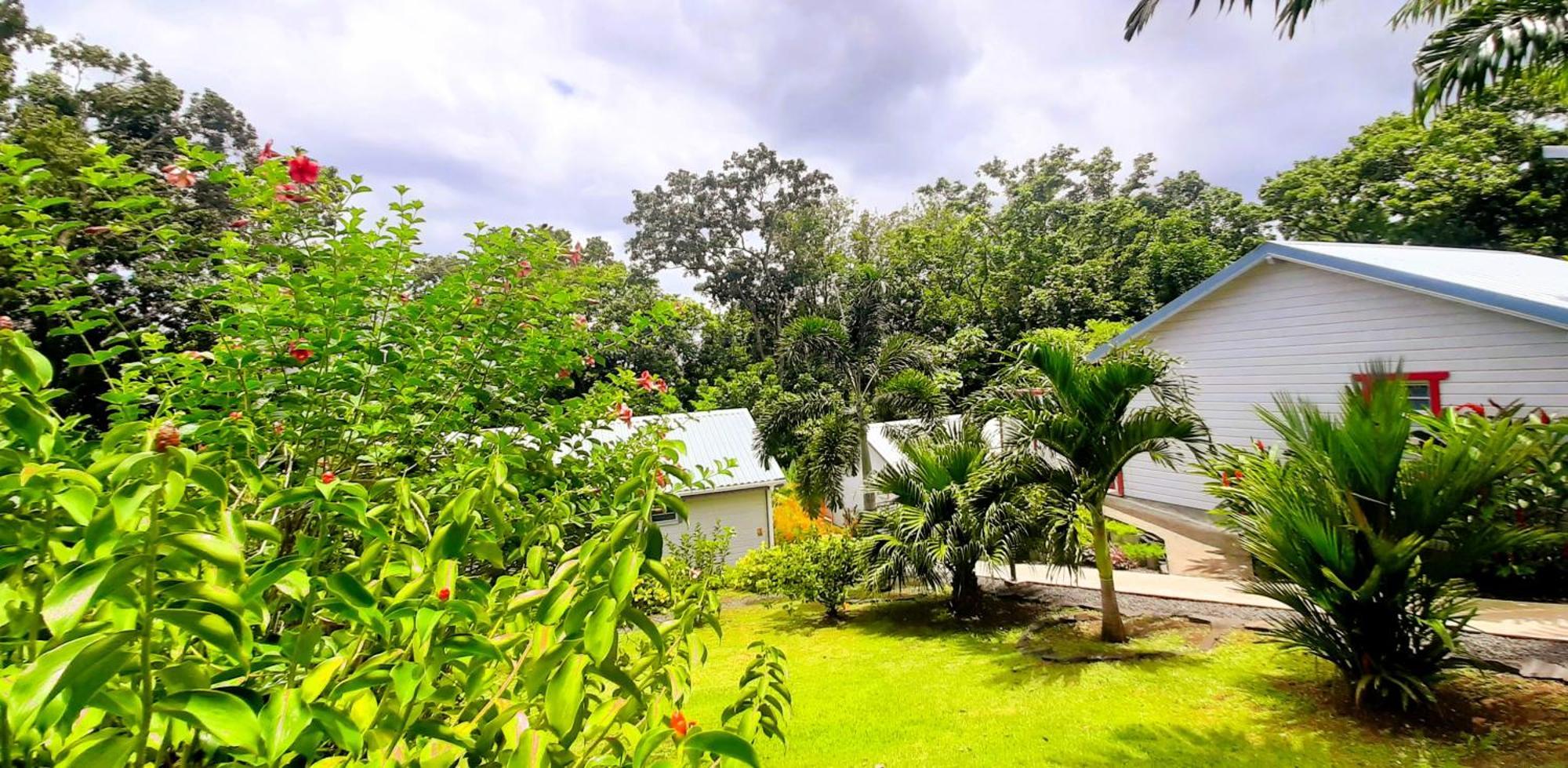 דסהייס Caraibes Cottage Grenat Piscine Privee 900M De Grande Anse מראה חיצוני תמונה