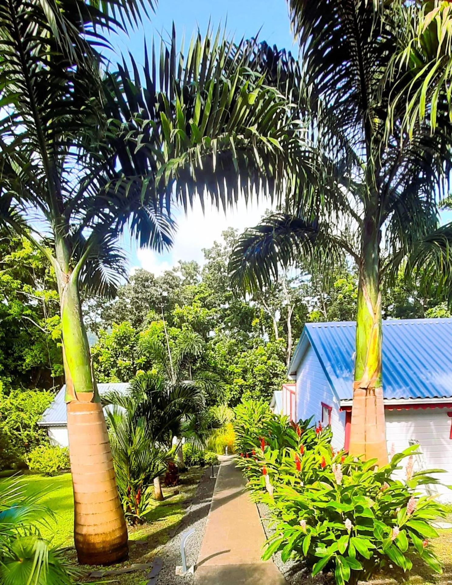 דסהייס Caraibes Cottage Grenat Piscine Privee 900M De Grande Anse מראה חיצוני תמונה