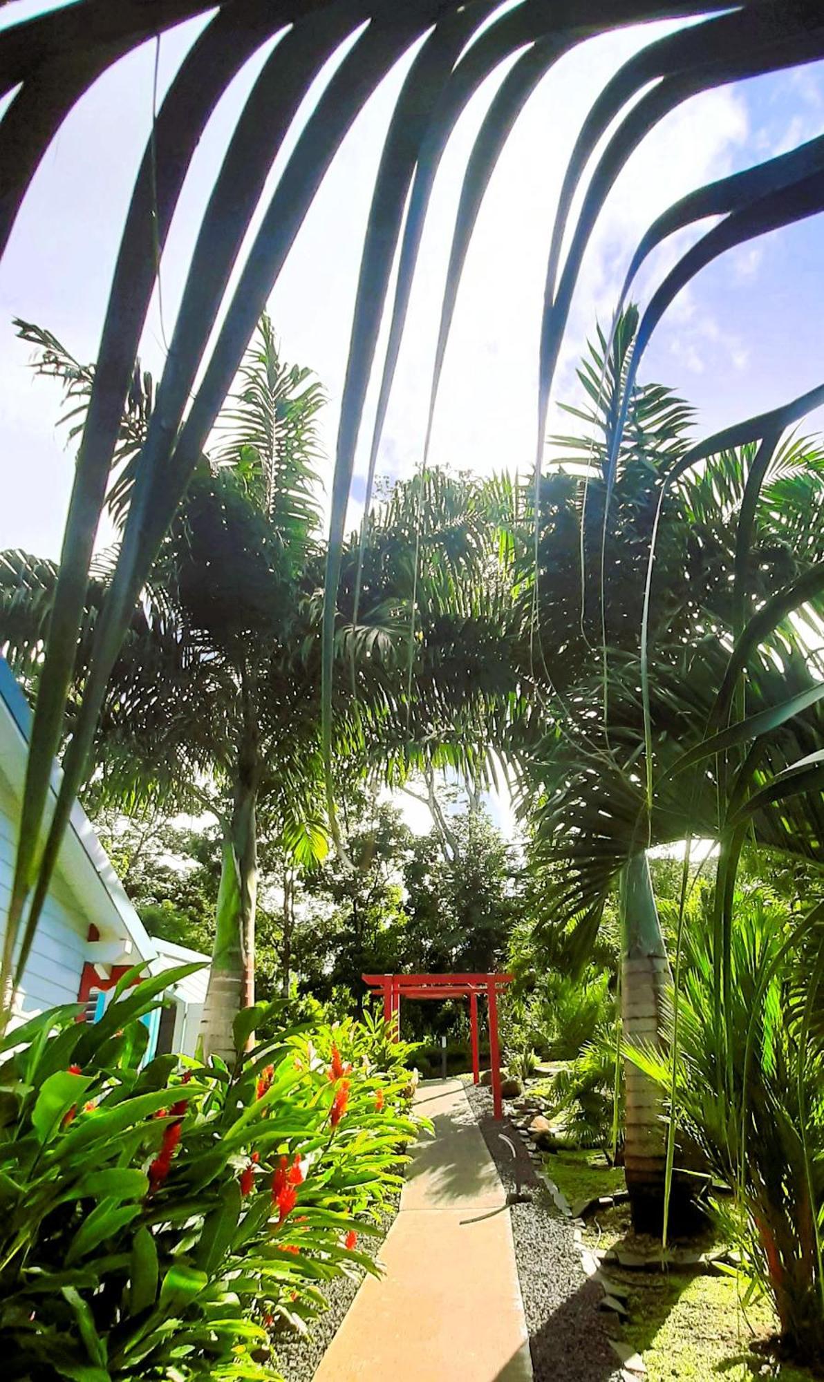דסהייס Caraibes Cottage Grenat Piscine Privee 900M De Grande Anse מראה חיצוני תמונה