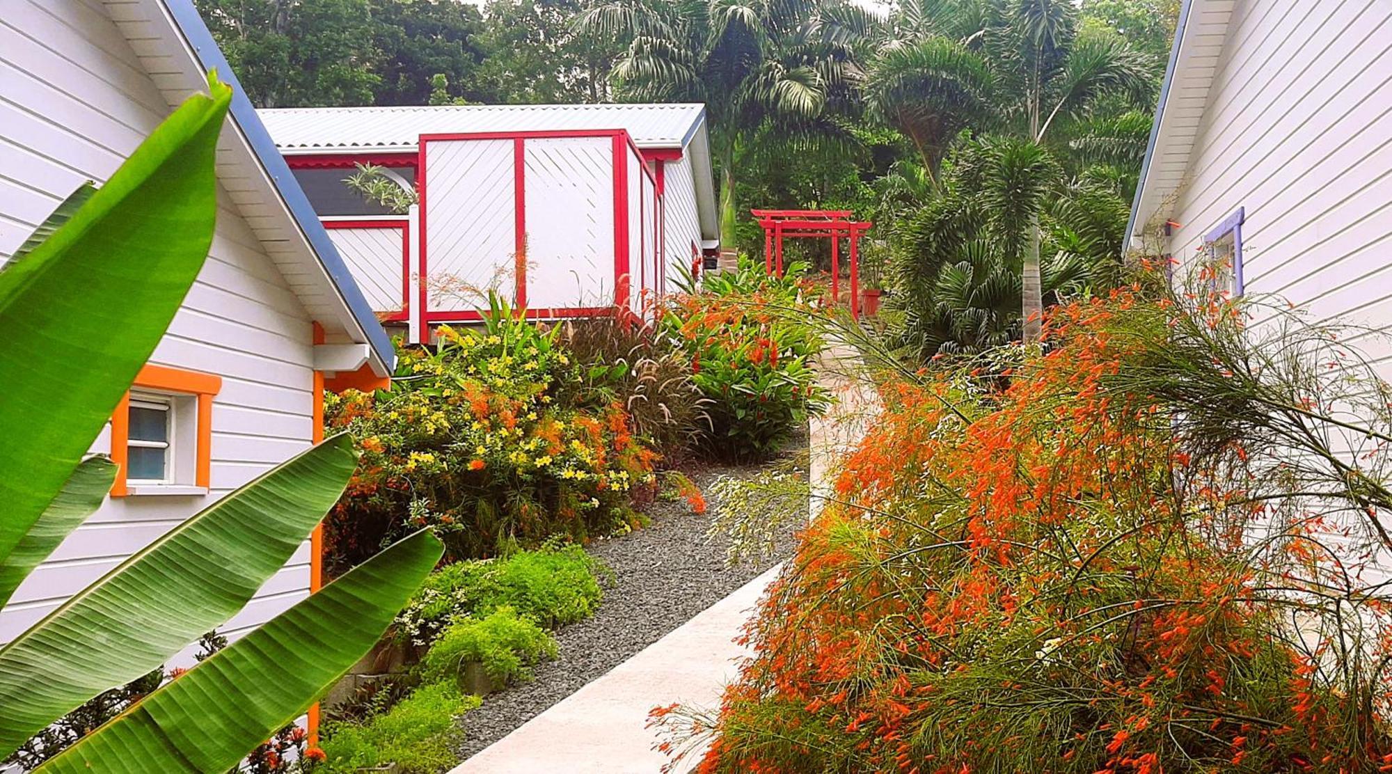 דסהייס Caraibes Cottage Grenat Piscine Privee 900M De Grande Anse מראה חיצוני תמונה