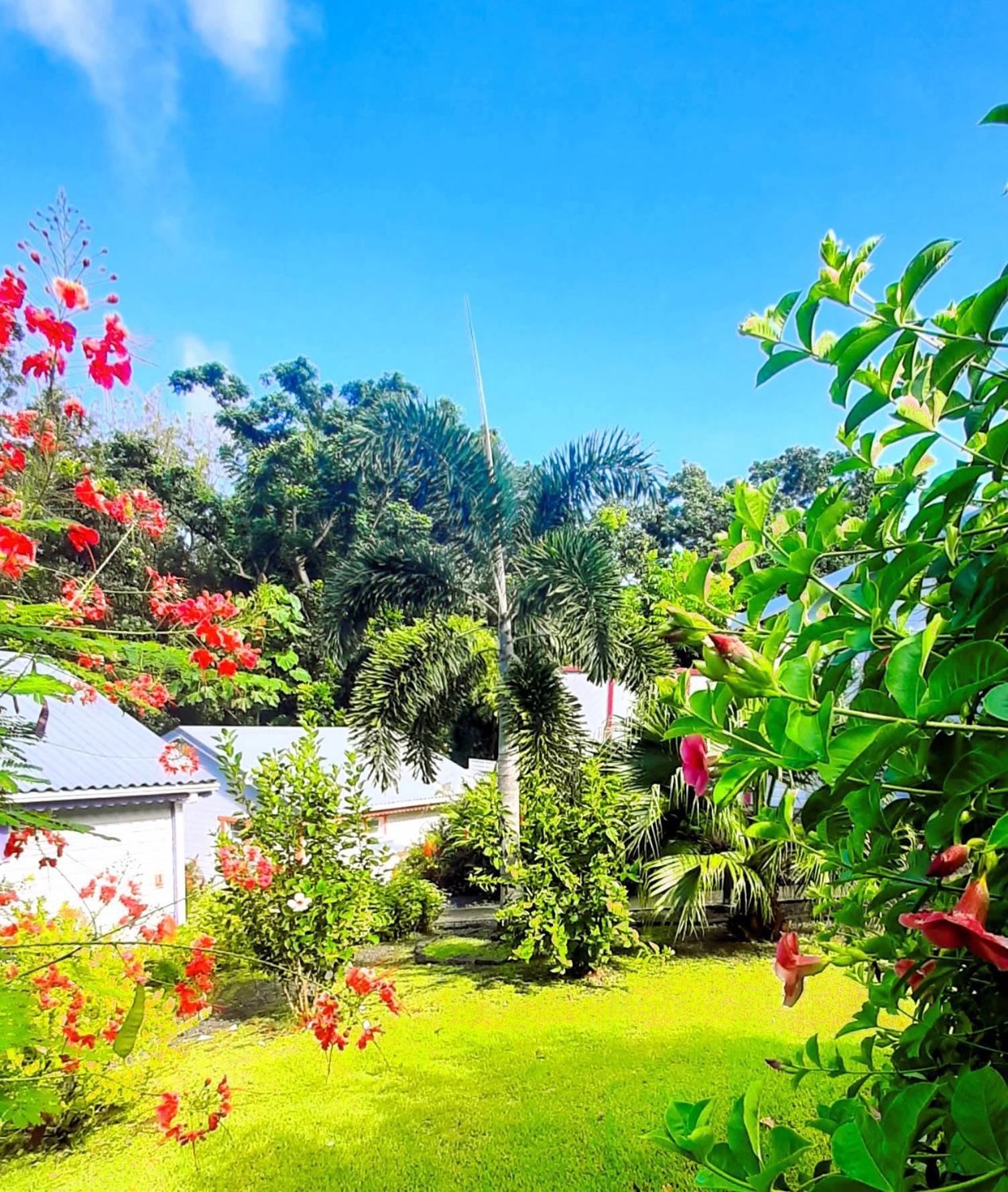 דסהייס Caraibes Cottage Grenat Piscine Privee 900M De Grande Anse מראה חיצוני תמונה